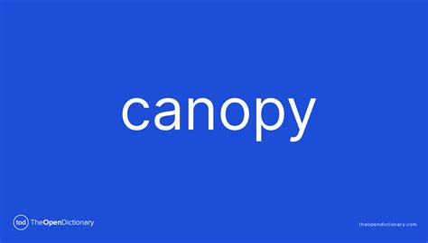 canopy meaning  canopy definition  canopy   canopy