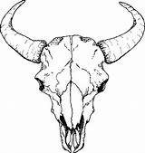 Skull Buffalo Drawings Sketch Drawing Clipart Bull Longhorn Deer Tattoo Coloring Skulls Line Tattoos Animal Clip Simple Sketches Cliparts Cow sketch template