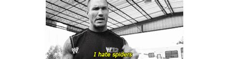 wwe randy orton s find and share on giphy