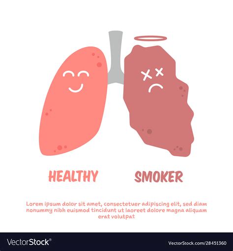 healthy and smoker lung cartoon comparison vector image