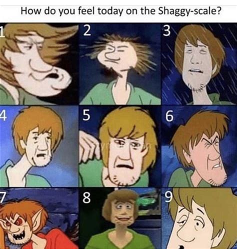 Pin By Lethally Blonde 007 On Morning Scooby Doo Memes Funny Images