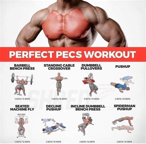 pin by fred p on exercise chest workouts workout chest workout