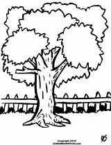Backyard Coloring Pages Trees Color Fall Getcolorings Printable Clipart sketch template