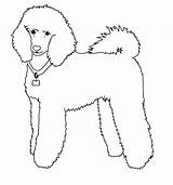 Poodle Line Poodles Toy Deviantart Drawing Outline Dog Standard Un Dibujar Drawings Draw Dogs French Perros Digi Como Perro Colouring sketch template