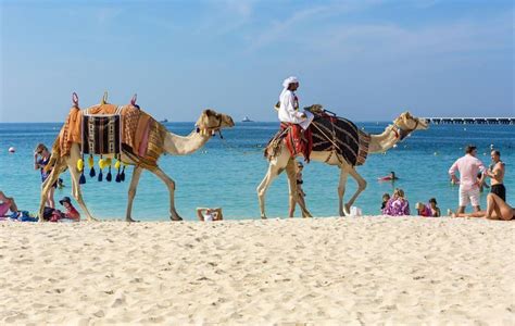 top  fun activities  dubai updated  dubai activities fun    honeymoon travel