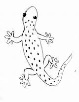Gecko Lizard Drawing Simple Easy Draw Step Print Drawings Comment Enjoyed Lesson Become Pdf If When Save Tweet Email Lessons sketch template