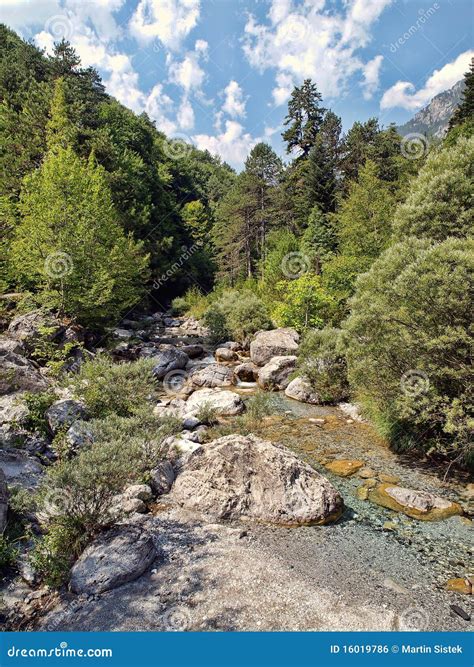 aphrodite  river stock photo image  nature forest
