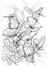 Hummingbird Mandala sketch template