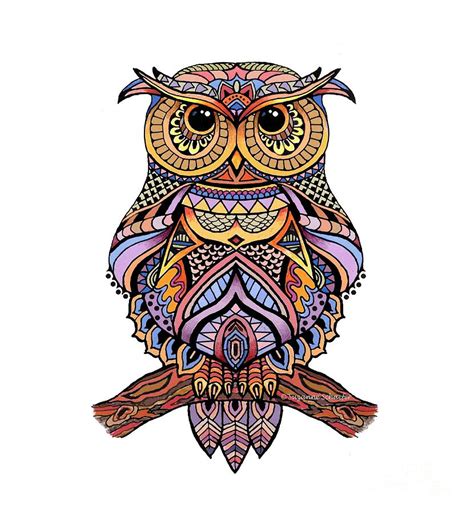 owl zentangle owls drawing bird drawings zentangle drawings  xxx