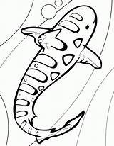 Shark Coloring Pages Leopard Printable Print Sharks Clipart Drawing Baby Hammerhead Megalodon Kids Whale Mouth Color Drawings Hey Duggee Tiger sketch template