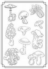 Champignons Coloriage Justcolor Coloriages sketch template