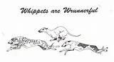 Whippet Template sketch template