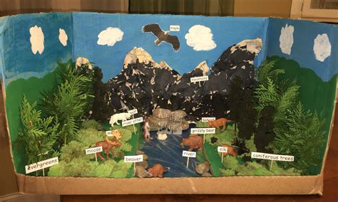 taiga biome diorama bd habitats projects ecosystems projects