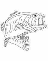 Bass State Fish Alabama Largemouth Freshwater Coloring Pages Kids sketch template