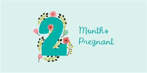 months pregnant symptoms  foetal development pampers uk