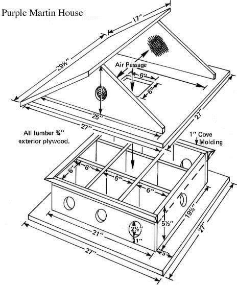 finch bird house plans beautiful   building bird houses ideas  pinterest  home