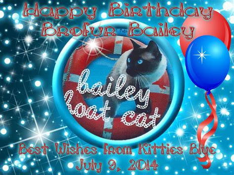 Kitties Blue Wish Honorary Brother Bailey Boat Cat Happy