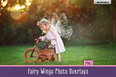 fairy wings photo overlays filtergrade