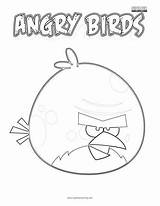 Birds Terence sketch template