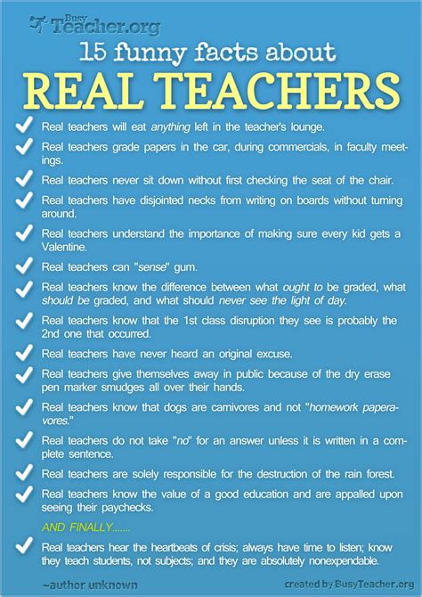 funny facts  real teachers infographic real teacher