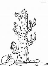 Cactus Coloring Pages Printable Kids Cool2bkids sketch template