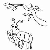 Coloring Pages Bug Printable Insect Color Crafts Insects Bugs Ant Outline Ones Articles Little Will Cricket Stencils sketch template