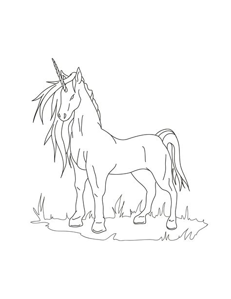 unicorn family coloring page eps illustrator jpg png