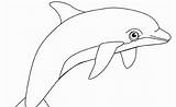 Dolphin Bottlenose Coloring Pages Print sketch template
