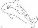 Coloring Pages Orca Whales Whale Killer Ws sketch template