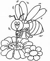 Coloring Bee Flower Pollination Pages Spring Colouring Flowers Sheet Color Kids sketch template