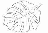 Leaf Coloring Pages Tropical Choose Board Leaves sketch template