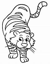 Tiger Cartoon Coloring Pages Clipart Tigers Library Clip sketch template