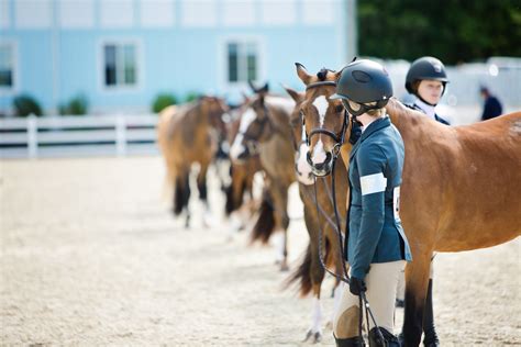 devon horse show multi breed competition  equestrian
