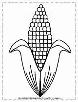 Corn Coloring Pages Cob Ear Printable Clipart Drawing Stalk Template Indian Plant Candy Kids Diagram Color Clip Cartoon Print Book sketch template
