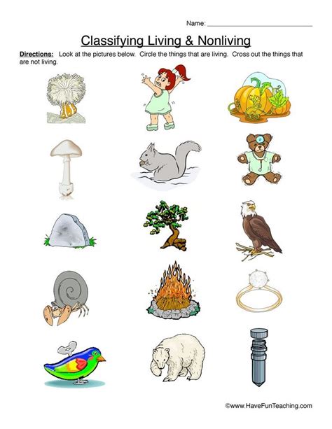 Classifying Living And Nonliving Things Primary Version Worksheet