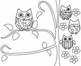 Coloring Pages Owls Printable Animal Owl Related sketch template