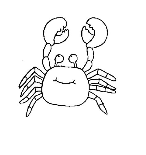 sea animals coloring pages  kids  getdrawings