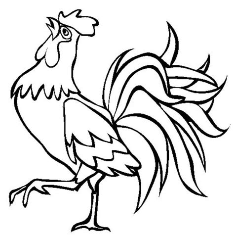 beautiful rooster coloring page coloring sky