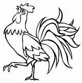 Rooster Drawing Coloring Crowing Drawings Cartoon Colouring Pages Farm Fighting Roosters Animal Beautiful Color Outline Chicken Line Simple Kids Clipart sketch template