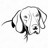 Pointer German Shorthaired sketch template