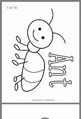 Bug Bugs Insects sketch template