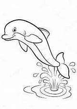 Dolfijn Zeemeermin Downloaden sketch template
