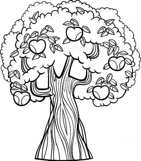 fruit tree coloring page food pinterest fruit trees