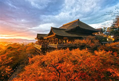 ultimate city guide  kyoto japan  foodie hotspots