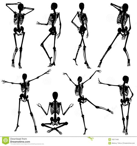 collect skeleton silhouettes stock vector illustration