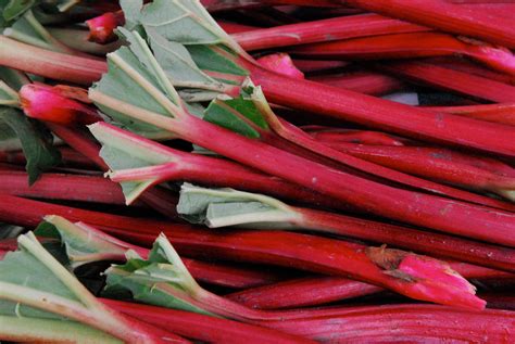 ways   rhubarb  spring edible communities