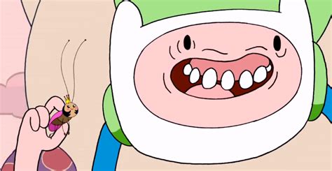 Image S1e25 Finn Holding Mini Queen Png Adventure Time Wiki