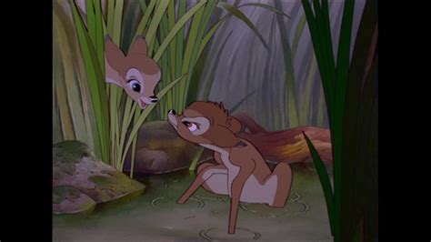 Bambi And Faline Images Bambi And Faline Hd Wallpaper And