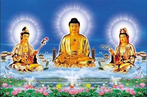Những Hình ảnh Phật đẹp Nhất Dành Cho Bạn