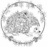 Coloring Hedgehog Pages Adult Cute Colouring Print Adults Printable Sheets Visit Patterns sketch template